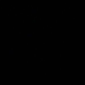 Meet your Posher, Armine